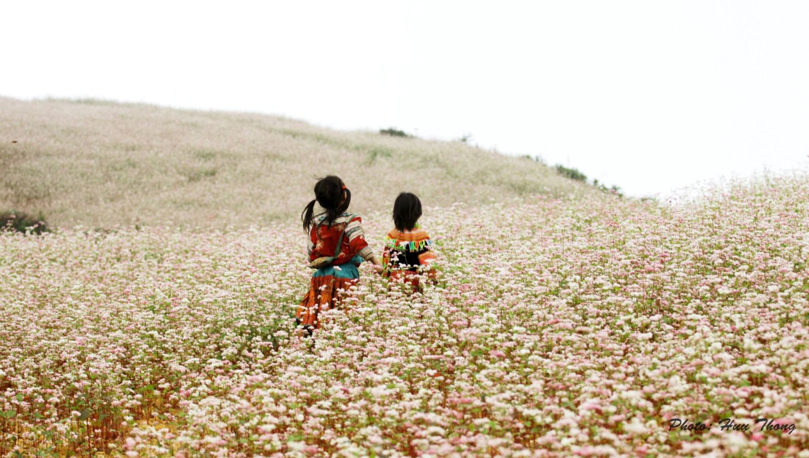hoa tam giac mach tai ha giang, cho thue  xe 35 cho