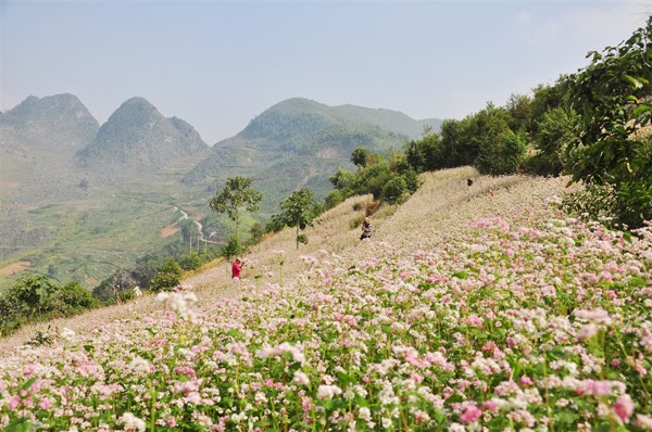 cho thue xe 35 chỗ đi tam giac mạn tại Hà giang