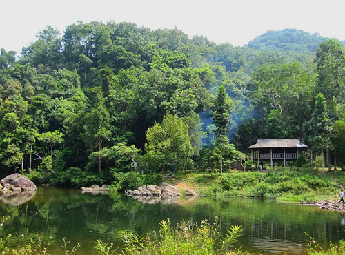 cho thuê xe đi bắc giang từ hà nội 