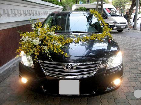 Cho thuê xe cưới VIP Lexus LS460