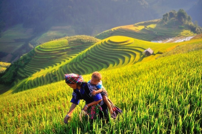 chothue xe du lich gia re tai ha noi di mua cang chai