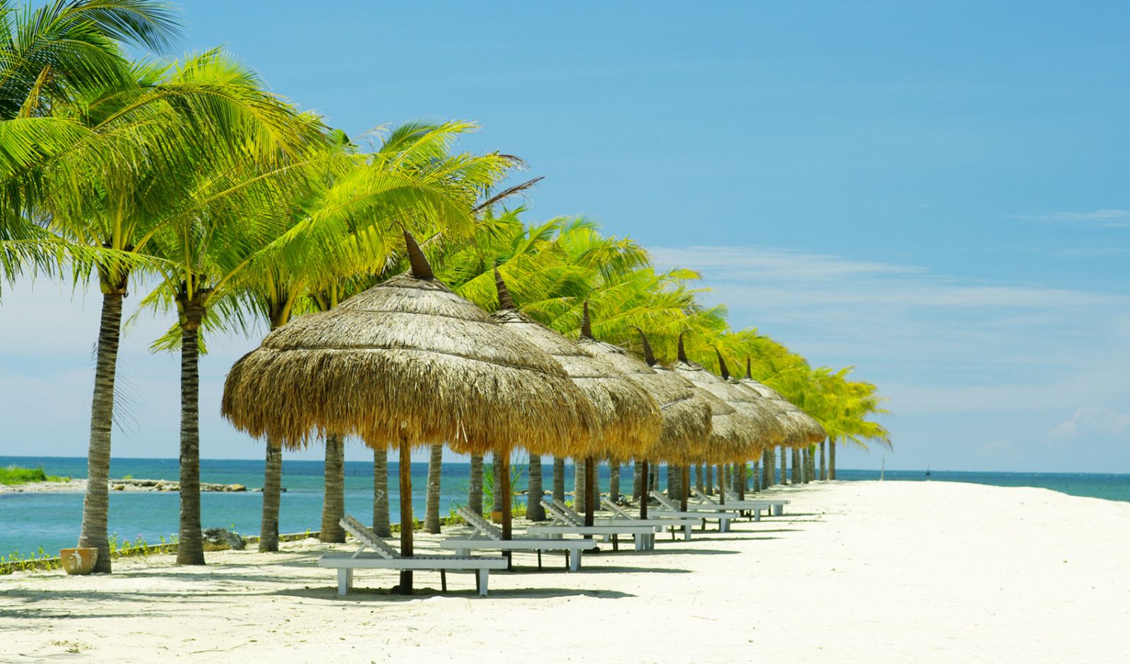 cho thuê xe đi nha trang giá rẻ