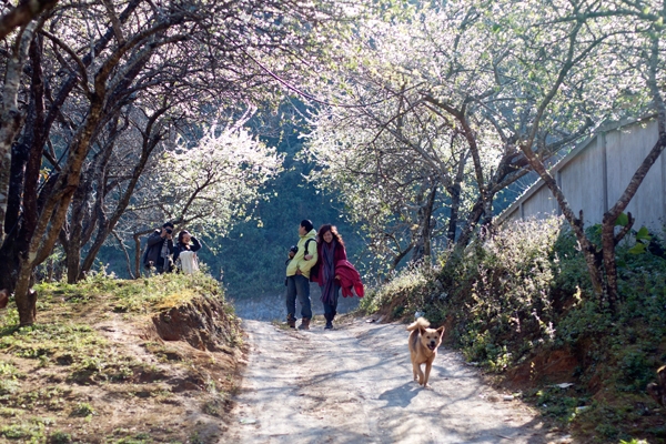 cho thuê xe đi mai châu hoà bình