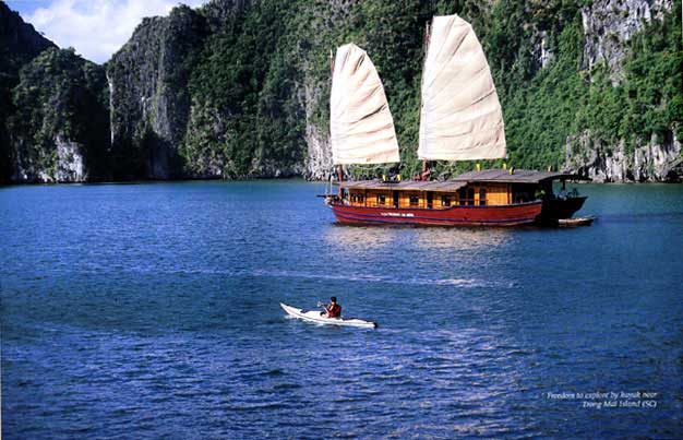 Sen Vàng Trans cho thuê xe đi tour Hạ Long