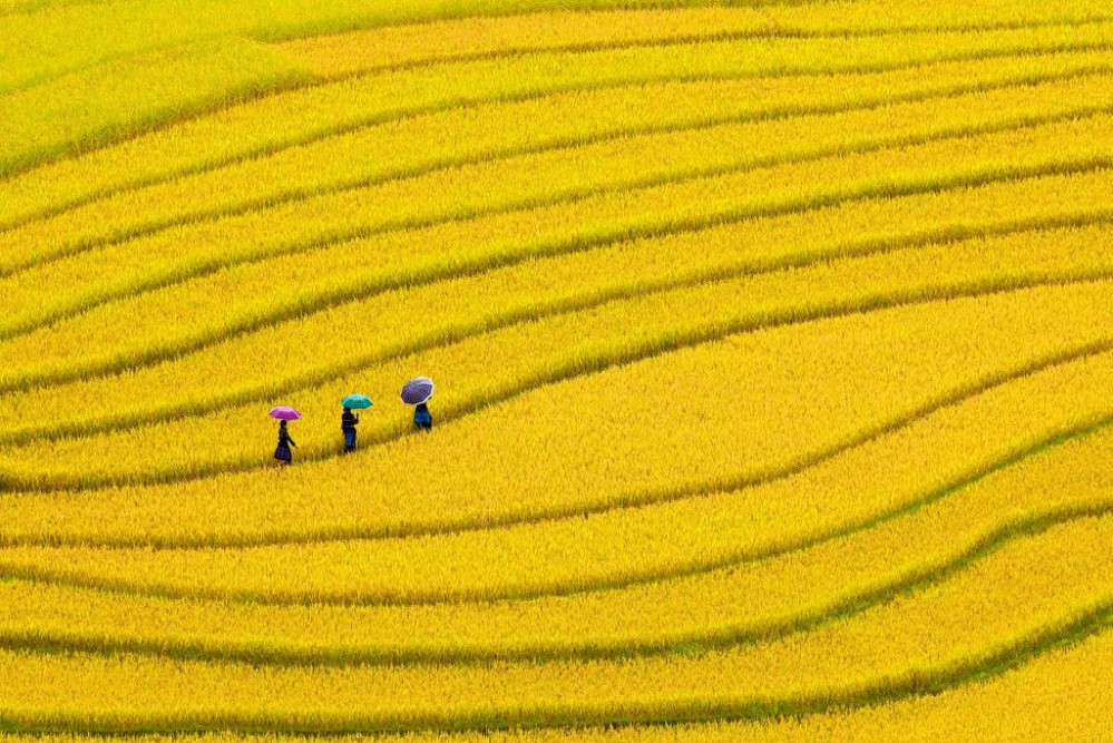 Mù Cang Chải - vô cùng hấp dẫn du khách mùa lúa chín